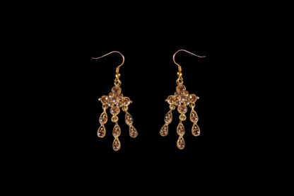 Earrings 67