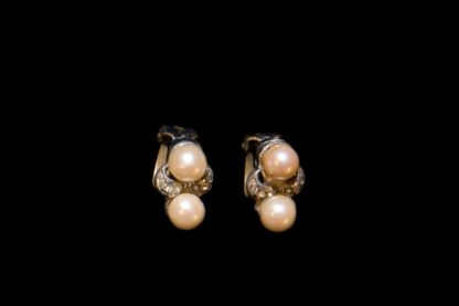 1900 earrings 114