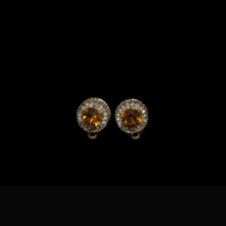 1900 earrings 245