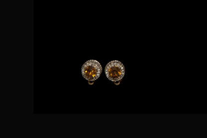 1900 earrings 245