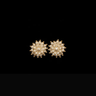 1900 earrings 280