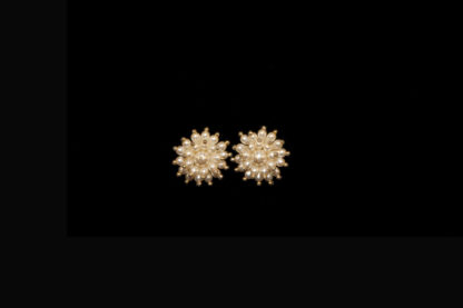 1900 earrings 280