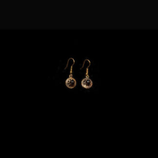 1900 earrings 31