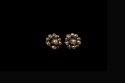 1900 earrings 480