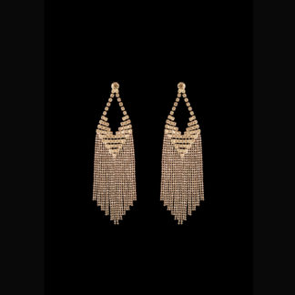 1900 earrings 93
